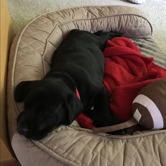 Meet your Posher, Frederik - Picture 1 of 1